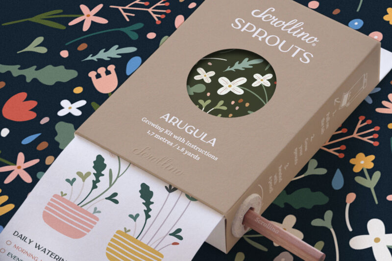 Scrollino Sprouts - Arugula/Rocket - Image 3